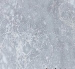 Silver Pearl (Греция)