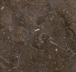  Meli Brown (Египет)