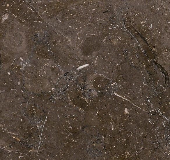  Meli Brown (Египет)