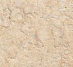 Mimosa (Египет)