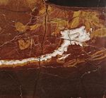 Rosso Diaspro Marble (Италия)