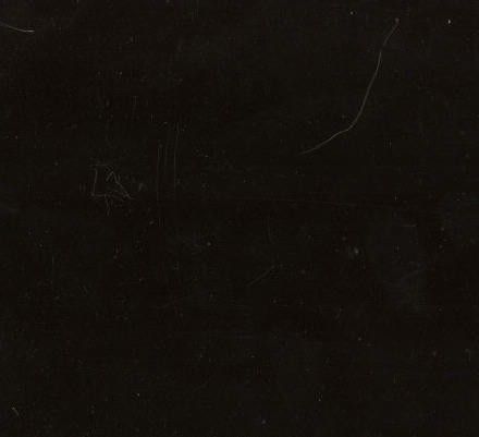 Noir de Golzinne (Бельгия)