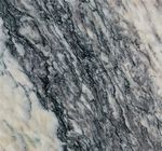 Green Oasis (Турция)