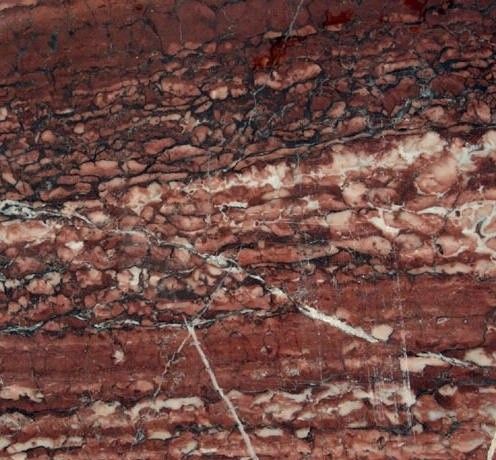 Saalburger Rot (Германия)