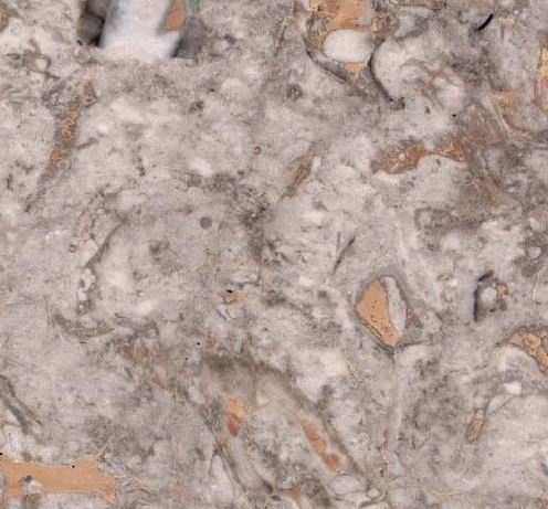 Vergina Brown (Греция)