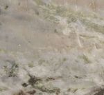 Saga Green (Финляндия)