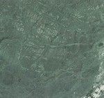 Verde Patricia (Италия)