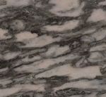 Gazgan Black Marble (Uzbekistan)