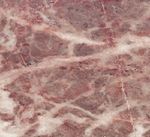 Tepeaca Rose (Мексика)